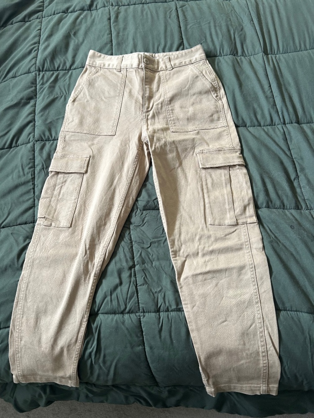 Aritzia cargo pant